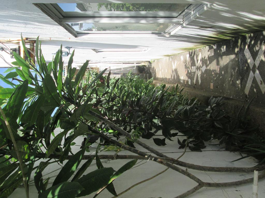 Hostal Poseidon Del Mar San Andres  Luaran gambar